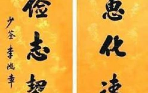精什么什么政(政什么什么什么)