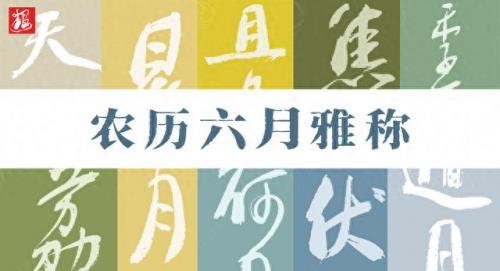 农历六月六日是什么日子(农历六月六习俗)插图