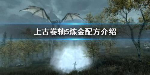 上古卷轴5负重(上古卷轴5增加负重)插图