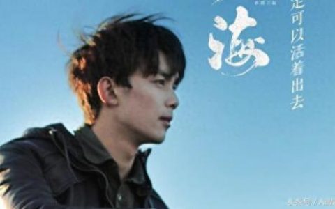 黑飞子(盗墓笔记中黑飞子是啥)