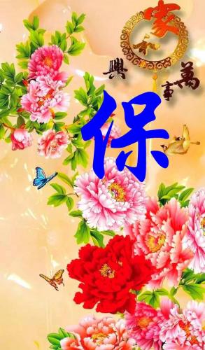 百家姓qq头像(百家姓头像大全真实图)插图63