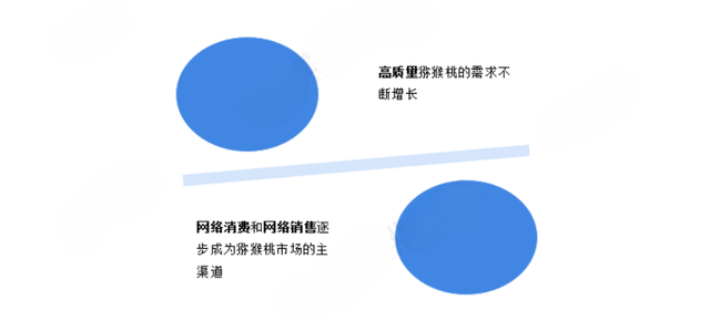 猕猴桃属于哪类水果(猕猴桃做酒最佳搭配水果)插图9