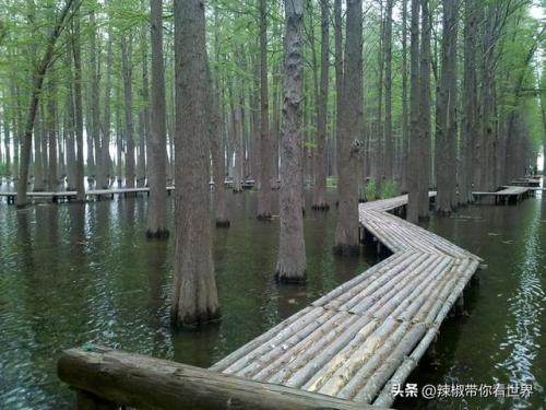 泰州古迹景点排名前十(泰州人文景点排名前十)插图16