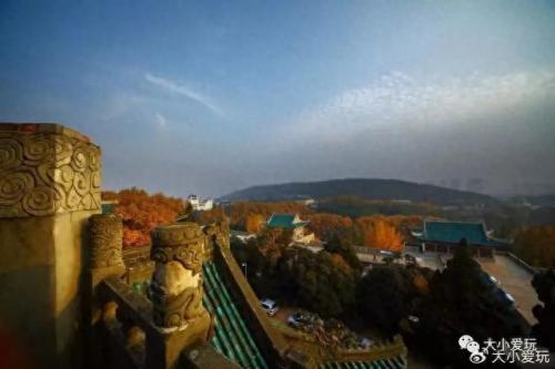 最有味道的大学排名前十(心理学排名前十的大学)插图7