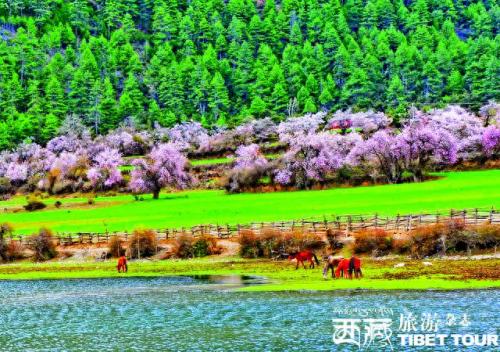 广场舞最美西藏(抖音上最火的西藏舞)插图6