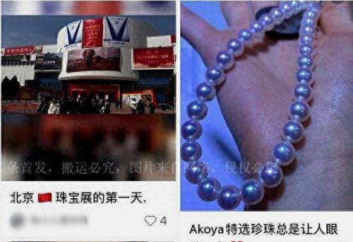 任泉老婆(任泉的背景有多强大)插图2