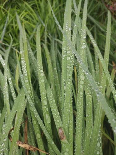 雨后的故事图片(雨中的小故事是什么梗)插图7