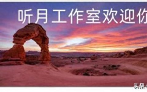 油画家(中国当代油画家)