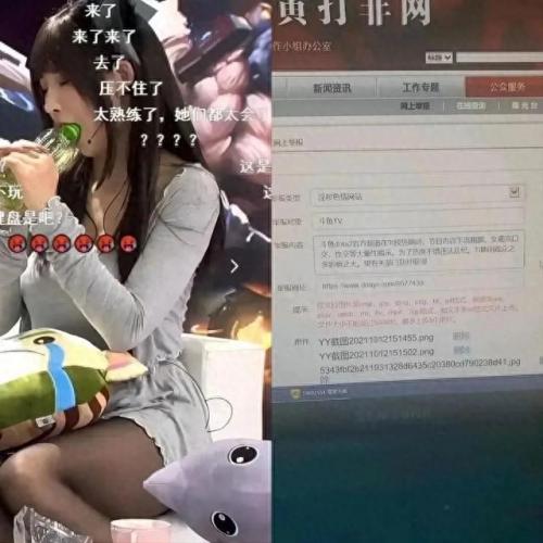 斗鱼qq排名前十(qq飞车最强主播排名)插图3