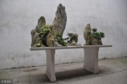 苏州起名大师排名前十(上海全国起名大师排名)插图1