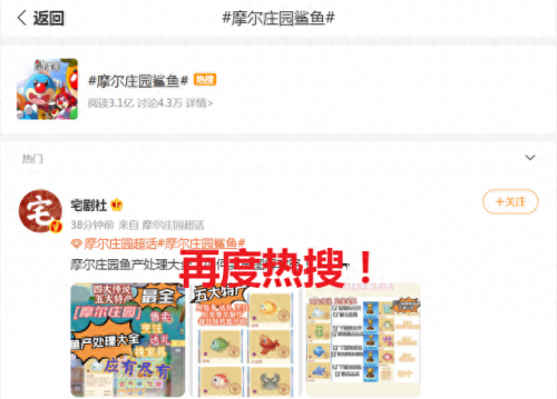 摩尔庄园斑点鲨在哪钓(斑点鲨摩尔)插图