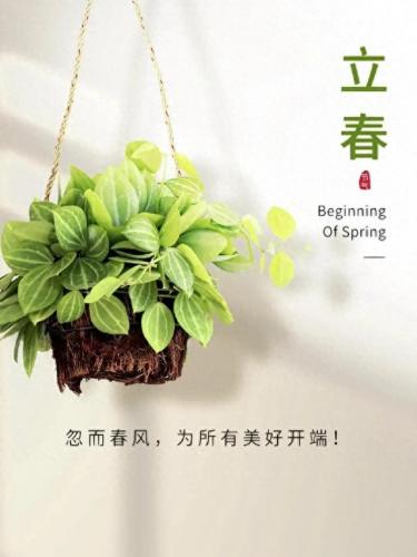 立春图片大全最新图(近期立春图片)插图5
