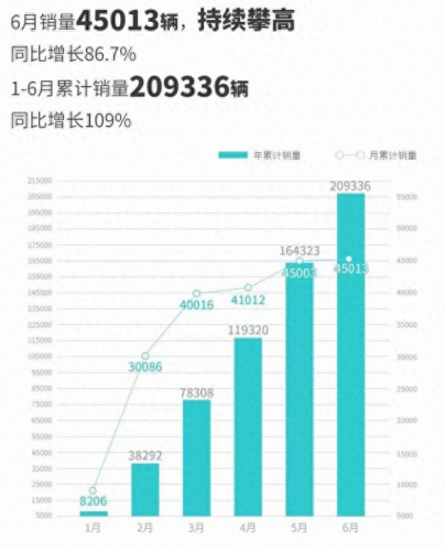 中国市场电动汽车排名前十(电车排名前十名)插图4