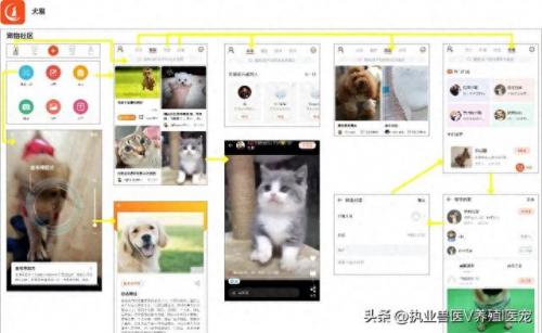 狗狗软件搜索(看狗狗品相软件)插图12