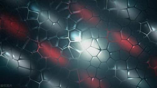 科学生物学的排名前十(生物学考研难度排名)插图2