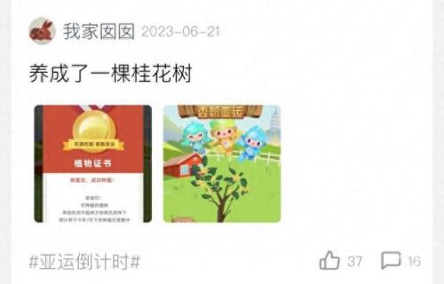 种花小游戏(经营类种花游戏)插图2