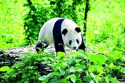 2021年7月7日是什么日子(2021年7月7日是情人节吗)插图