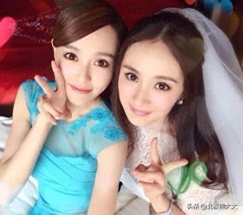杨野花(农村各种野草)插图53