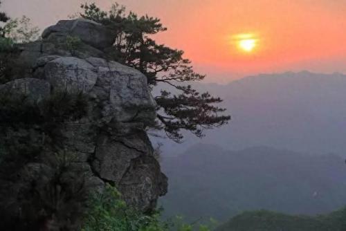信阳景点排名前十(信阳十大茶园排名)插图11