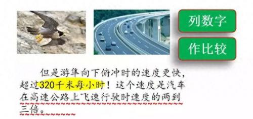奔的多音字组词(奔多音字怎么区分)插图39