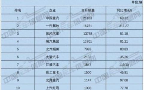 十大重卡排名前十(大卡车的十大品牌)