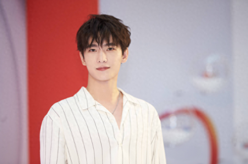 中国排名前十帅男(中国最帅的男人前10名)插图4