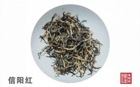 豫南十大茶叶排名前十(地方茶叶排行前十)