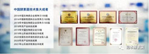 山东酵素排名前十(山东龙城酵素)插图5