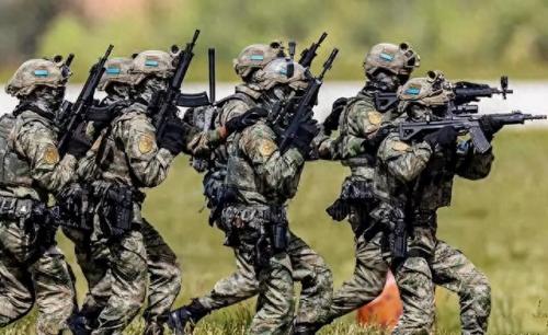 中国特种兵狙击排名前十(特种兵荒岛狙击)插图14