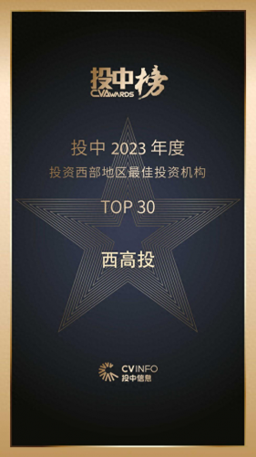 西安第三方机构排名前十(西安市前十名评估公司)插图