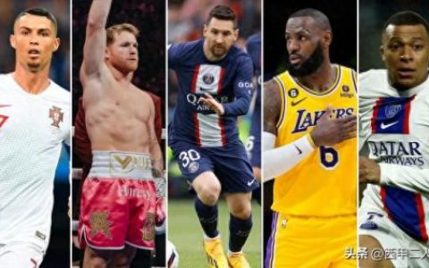 前职业选手收入排名前十(ufc280选手收入)
