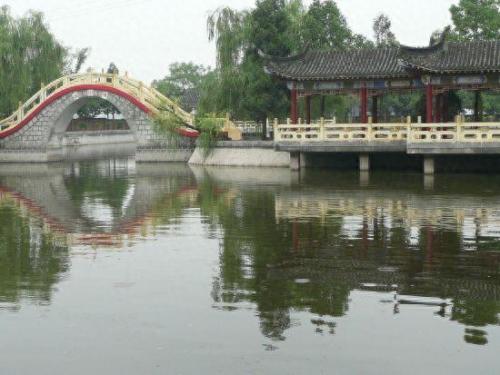 广陵区宠物医院排名前十(广陵宠物医院人气推荐)插图26