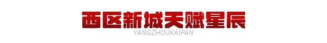 扬州乡村豪宅排名前十(亚洲十大豪宅扬州)插图22