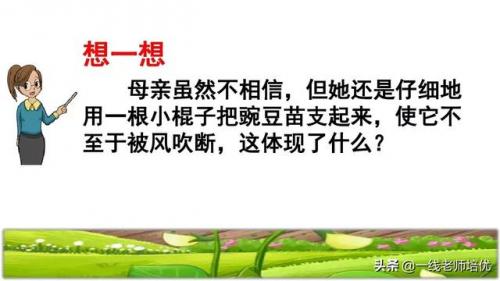 豌怎么组词-(豌可以怎么组词语)插图29