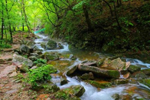 本溪景区排名前十(本溪旅游景点大全)插图8