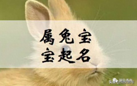 新生儿排名前十的姓名字(姓刘的最旺名字)