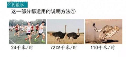 奔的多音字组词(奔多音字怎么区分)插图29