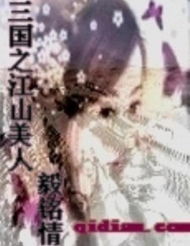 三国之宏图霸业(三国宏图霸业小说)插图6