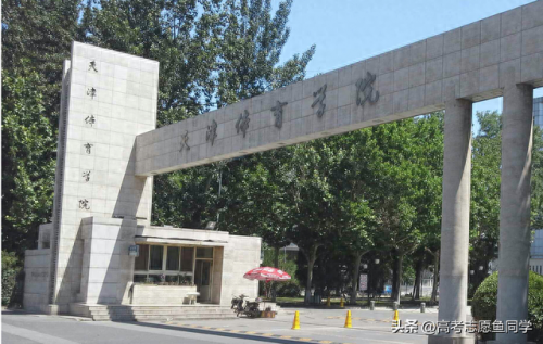 田径运动员专业排名前十(田径之王十大排名)插图1