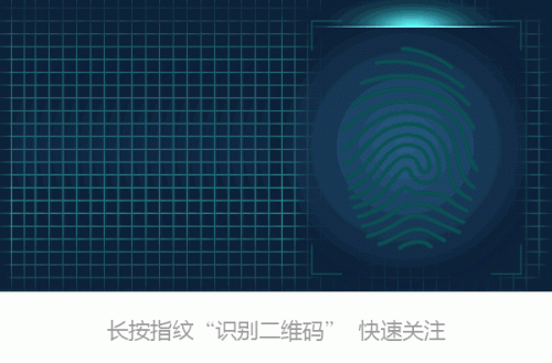 泌阳网(泌阳县李二妮家族涉黑案)插图1