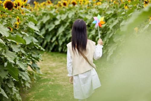 温室的花(温室的花黄湘怡)插图3