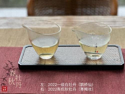 白茶品类排名前十(白茶品牌排名前十名)插图19
