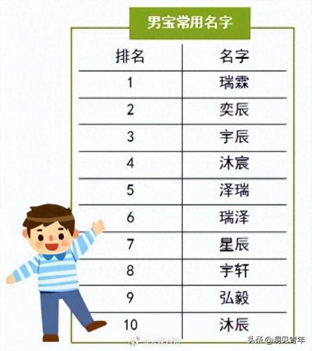 新生儿排名前十的姓名字(姓刘的最旺名字)插图7