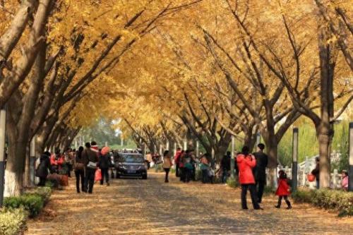 江都推荐景点排名前十(江都旅游十大景区)插图6