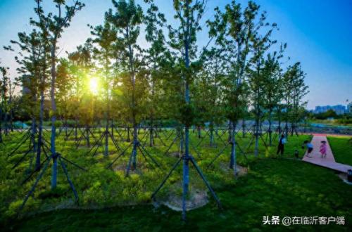 秘密花园冥想(秘密花园有异物入侵)插图4