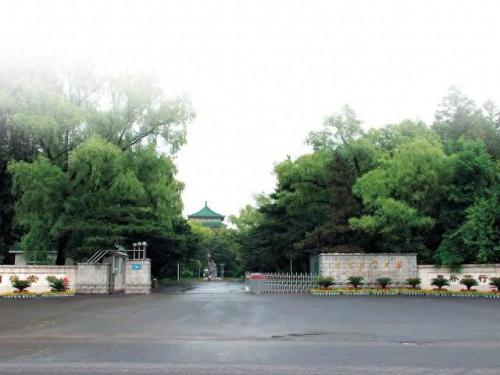 德州空乘艺考班排名前十(张店空乘艺考班排名前十)插图32
