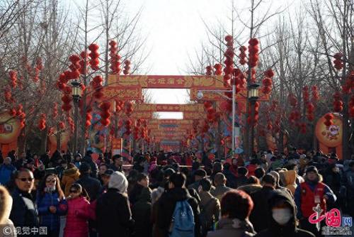 五彩缤纷是什么生肖-(五彩缤纷打一数字)插图5
