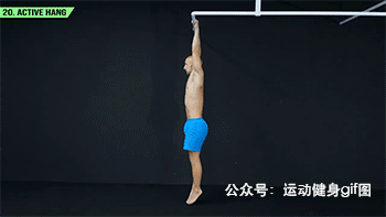 健身大神排名前十(健身大神谁厉害)插图19