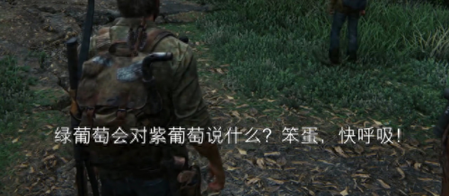 辐射3新维加斯秘籍(辐射3新维加斯bug)插图2
