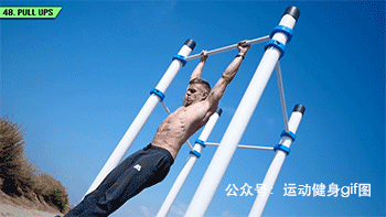 健身大神排名前十(健身大神谁厉害)插图47